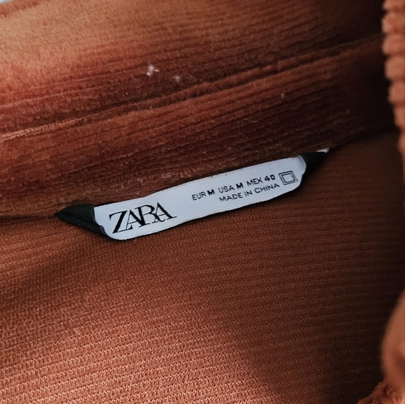 Button-down shirt - Picture 4 of 4